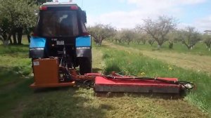 Копия видео «ЕМ 1 3 02 видео»