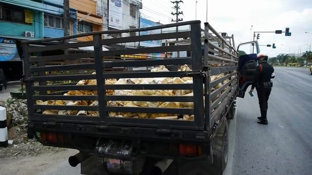 กวดขนรถบรรทกยางพารา.wmv