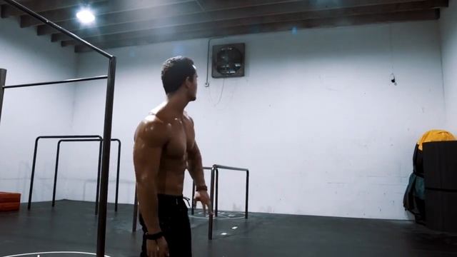 INSANELY HARD WHOLE BODY WORKOUT ROUTINE 2016 THENX смотреть онлайн