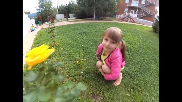 Деспасито - песня, покорившая сердце ребенка смотреть онлайн