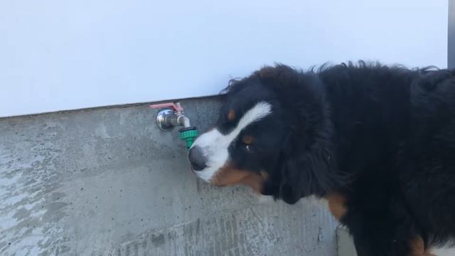 Жажда и Джек смотреть онлайн