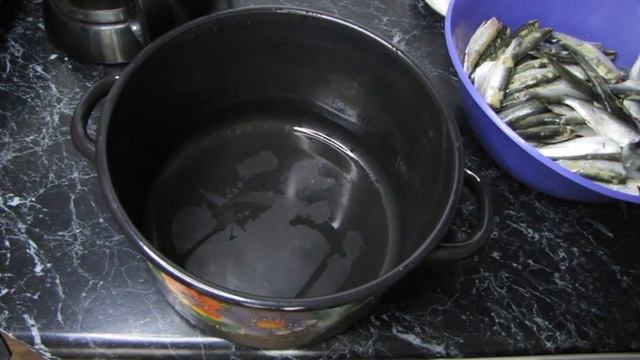 Дизайн и Разработка Веб-сайтов