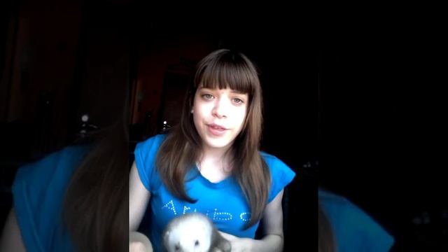 Мой хорек*_* смотреть онлайн
