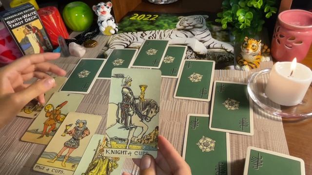 Таро расклад ♏️Скорпион 2022 Год Тигра Расклад на будущее на 12 домов Гадание на картах онлайн смотреть онлайн