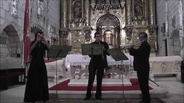 W.A. Mozart: Trio Kv 439b adap. for two flutes and clarinet. I, Allegro смотреть онлайн