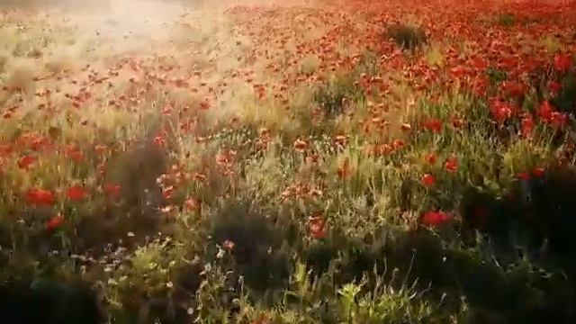 А лето шло к закату... Маруся Счастливая. смотреть онлайн