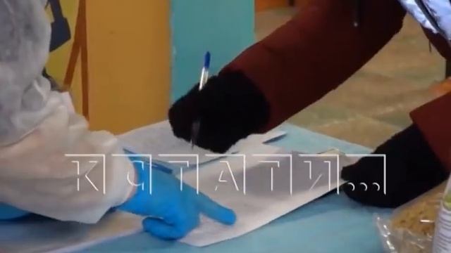 Родители нижегородских школьников начали получать продуктовые наборы смотреть онлайн