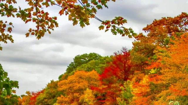 Истории из жизни. Ты у нас - единственная дочь! Мы тоже имеем право на... Жизненные истории смотреть онлайн