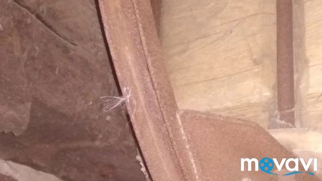 Влог=27 Город.-Правдинск. История. смотреть онлайн