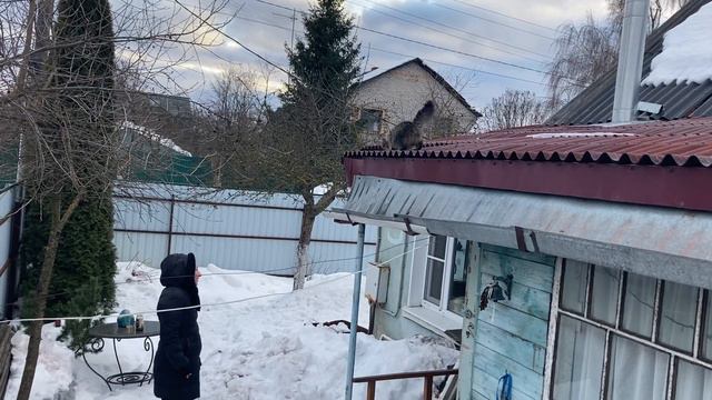 Кот, который живет на крыше😁 смотреть онлайн