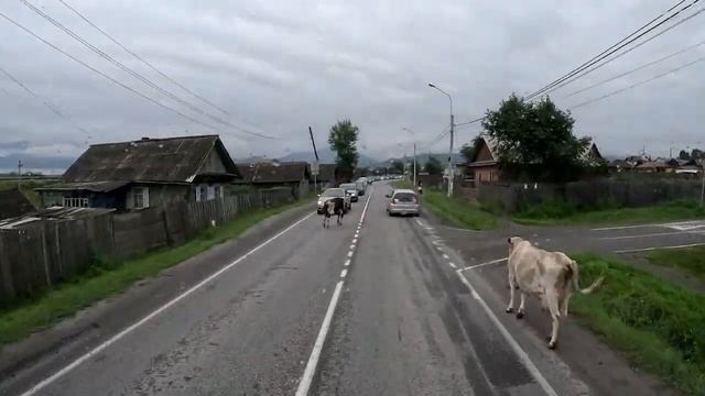 Водитель родился в рубашке!!! Коллапс на Иркутск... $1243 смотреть онлайн