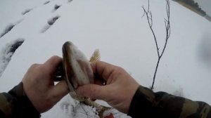 Рыбалка на щучьи капканы зимой.