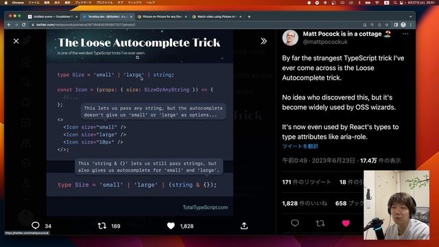 雑談回（Picture in picture API, TypeScriptのunion、等） смотреть онлайн