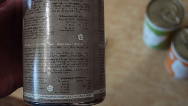 Мастерство и Талант в Действии