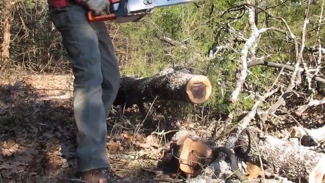 Bucking a Stem with a Stihl MS250 Chainsaw смотреть онлайн