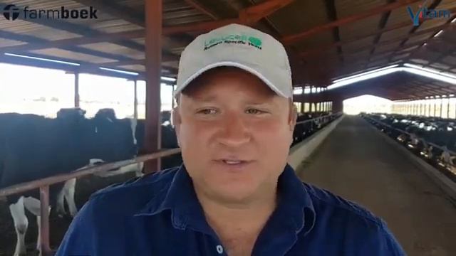 Heat stress - Dairy cattle смотреть онлайн