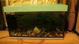 Самодельная крышка для аквариума.