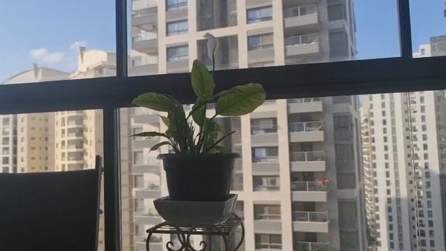 טיפ הכנת מרק שעועית לבנה שלא גורם לגזים