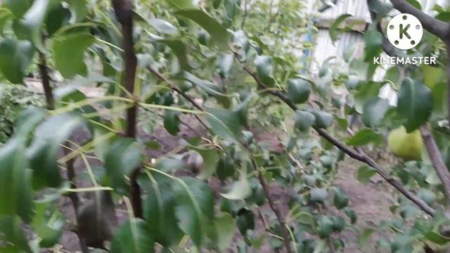 ПРИГЛАШАЮ ОТДОХНУТЬ! ВСЁ БЫ ХОРОШО, НО УРАГАН ПОМЕШАЛ ОТДЫХУ...