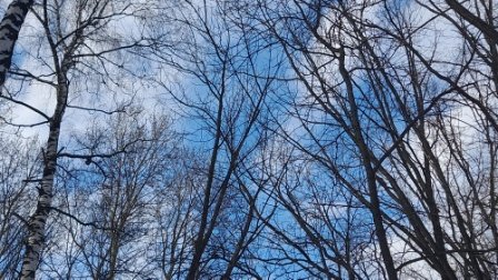 4.Апрель.Подснежник..mp4 смотреть онлайн