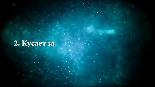 К чему снится белая крыса - Онлайн Сонник Эксперт смотреть онлайн