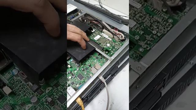 отдам сервачек в хорошие руки смотреть онлайн