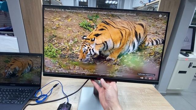 Монитор Dell смотреть онлайн