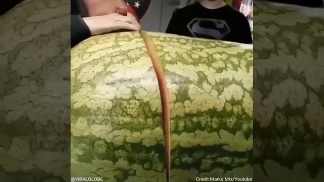 Самый большой арбуз в мире смотреть онлайн