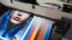 Всем у кого полосит Epson L805 и нечего не помогает