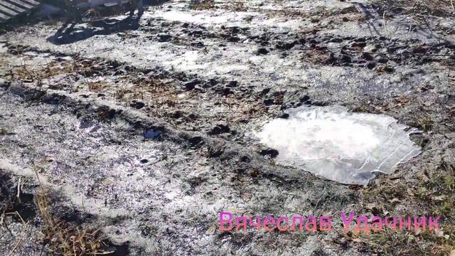 Обзор дачи, вода сошла смотреть онлайн