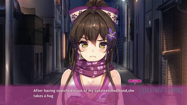 NinNinDays [Nintendo Switch Gameplay] | No Commentary