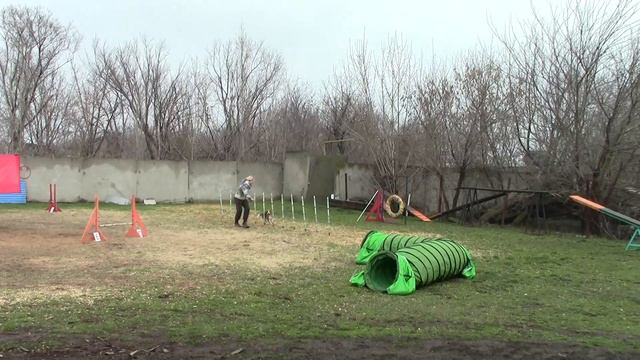 Бурковская Елена и бигль CHANDLER MAGIC STYLE Д1 смотреть онлайн