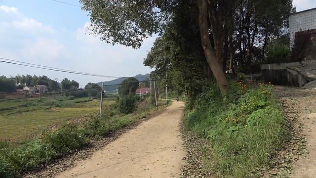 历时55年水库清库大捕捞，千斤大鱼同时上货，这种场面看得好过瘾【王玮先生】 смотреть онлайн