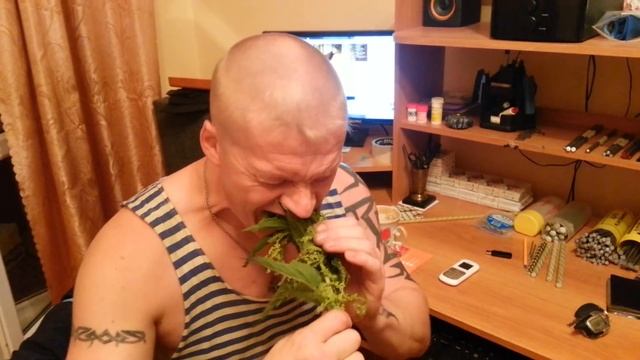 Разжевал крапиву смотреть онлайн
