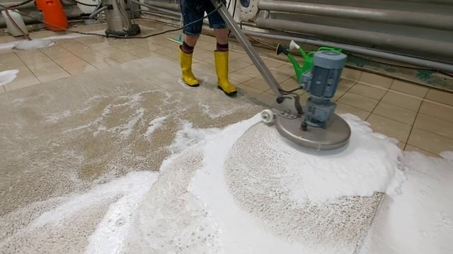 Собачкины какашки размазаны на полковра, устраняем/ Dogshit was splattered over the carpet, removin смотреть онлайн