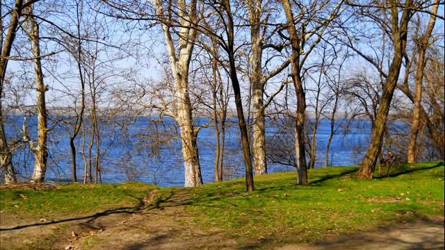 О Чём Ты Думаешь (инструментал) - Виталий Шатилов /гр. Logus/ (audio) смотреть онлайн