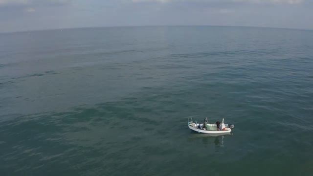 Паром из Италии в Израиль . GRIMALDI LINES . Italia to Israel . Israel to Italia . смотреть онлайн