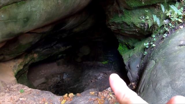 Пещера со светящимся мхом. Национальный парк "Угра" (20.09.2020г.) смотреть онлайн