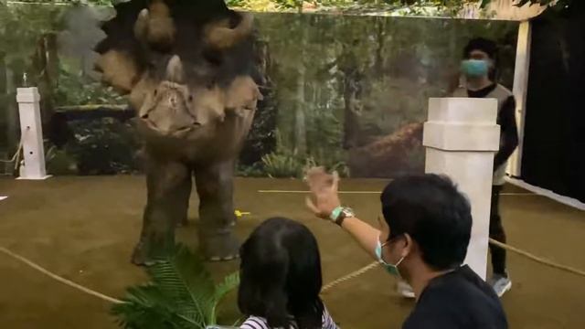 Wahana Dino Island Expedition di Cibinong City Mall смотреть онлайн