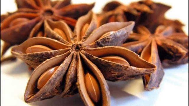 Бадьян. Свойства и применение смотреть онлайн