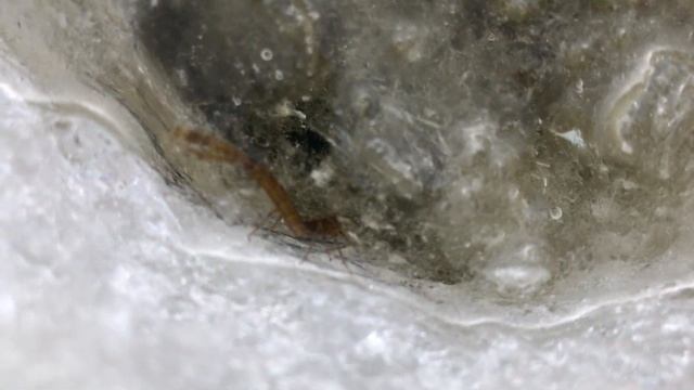 Зимняя рыбалка в Карелии! Пялозеро! ч. 2 смотреть онлайн