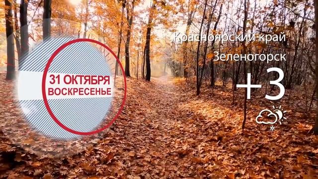 Погода в Красноярском крае на 31.10.2021 смотреть онлайн