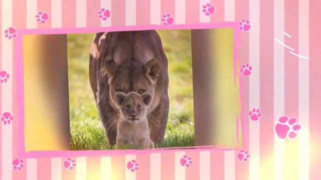 #мама #первое #слово МАМА - первое слово.💐.- Mom is our first word.💐 смотреть онлайн