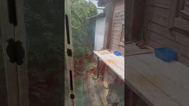 Наша дача на Волге. СНТ " Радуга" смотреть онлайн