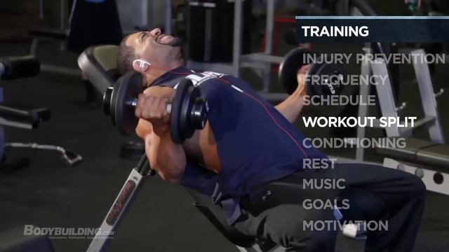 David Otunga's Training & Fitness Program - Bodybuilding.com смотреть онлайн