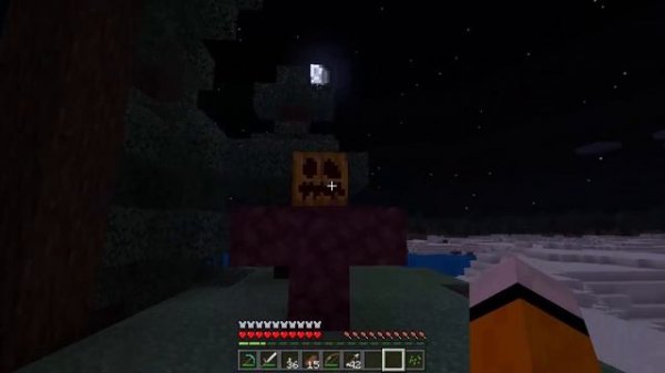 How To SUMMON ENTITY 303 in Minecraft Pocket Edition (Spawning Entity 303)