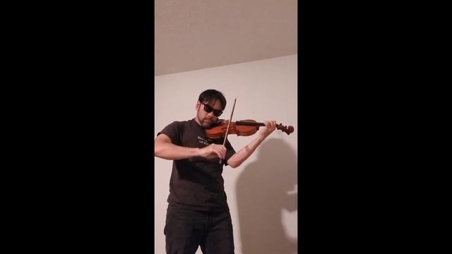 Bach Chaconne in D Minor - Violin (Partita 2) смотреть онлайн