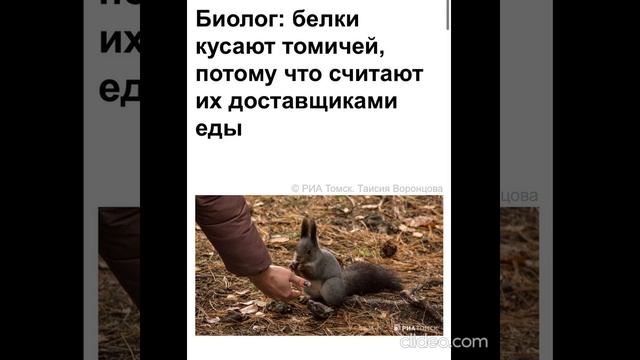 после завтрака 05.09 2 смотреть онлайн