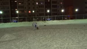 Салюты Новый  год  2014  Сургут