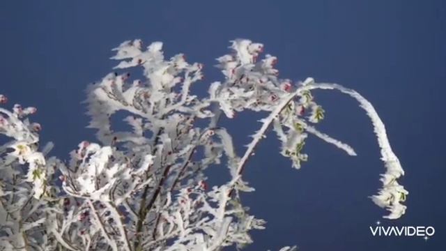 Из репертуара Аллы Пугачевой "Опять метель" на якутском смотреть онлайн